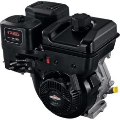 Briggs & Stratton 19N132-0055-F1 306cc Engine